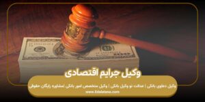وکیل جرایم اقتصادی