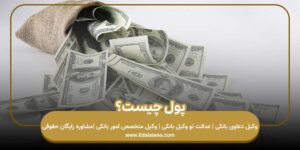 پول چیست؟