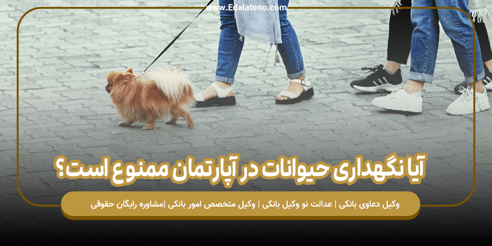 آیا نگهداری حیوانات در آپارتمان ممنوع است؟